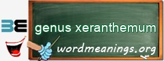 WordMeaning blackboard for genus xeranthemum